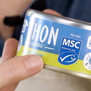 Das MSC-Siegel nutzen