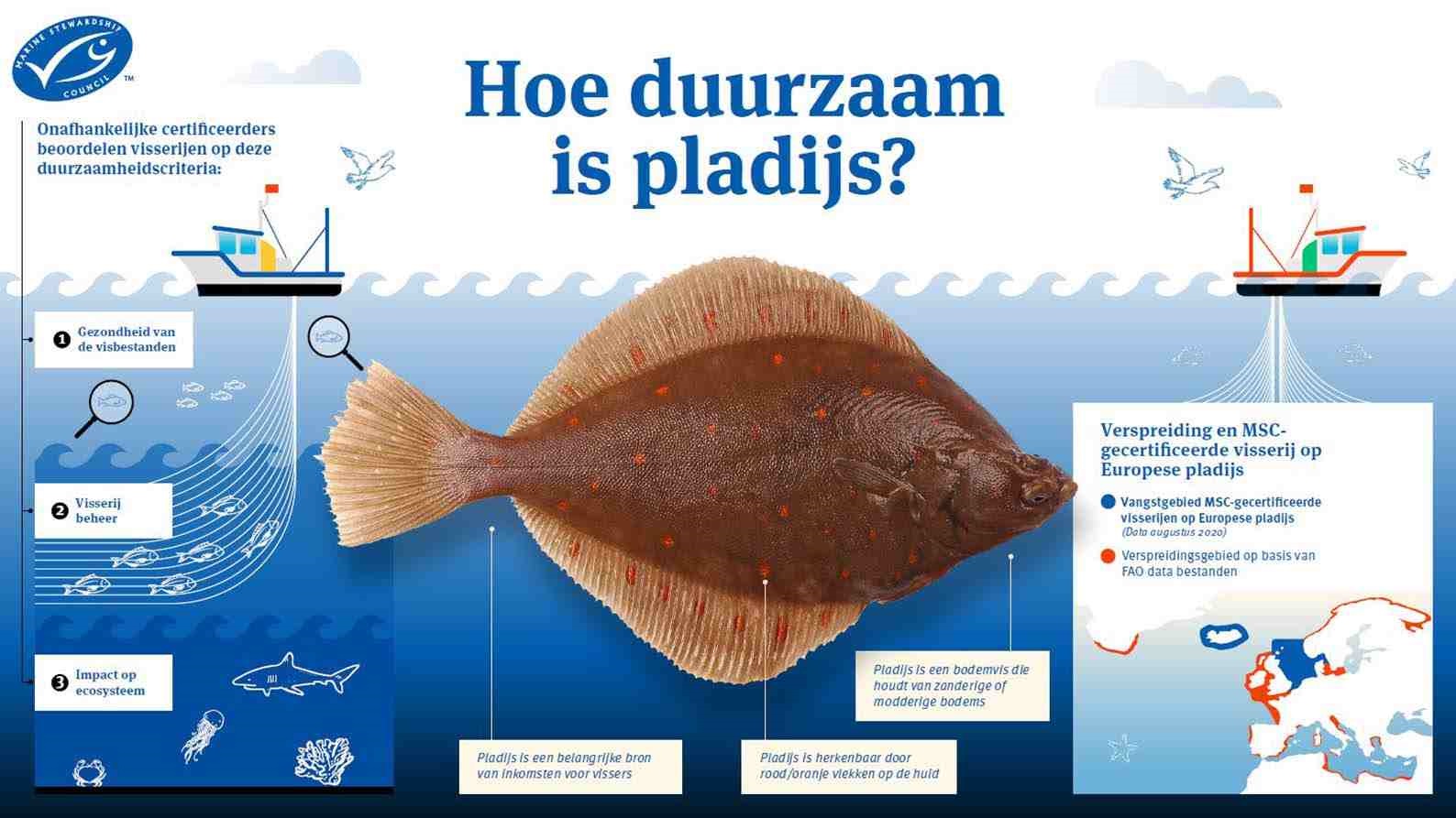 Duurzame pladijs