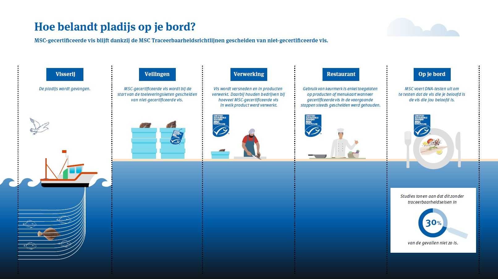 Hoe belandt pladijs op je bord?