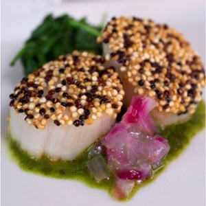 Sint-jakobsschelpen met een korst van Chimichurri quinoa