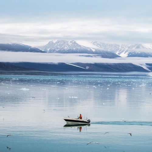 Un voyage en Arctique pour découvrir la biologie marine