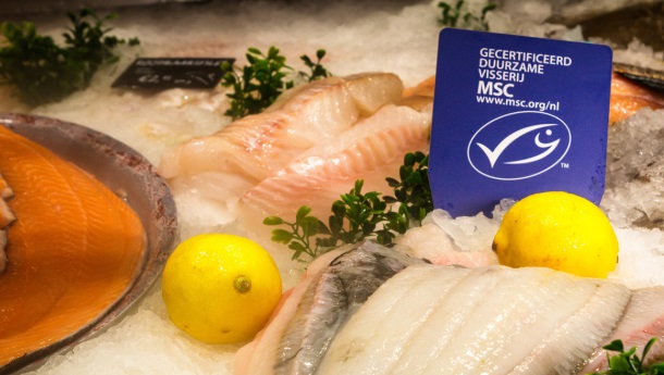 Wat is het MSC‑keurmerk?