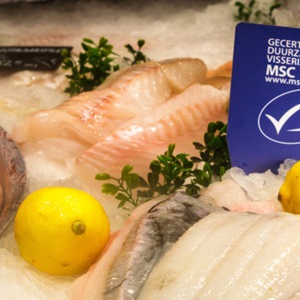Wat is het MSC‑keurmerk?