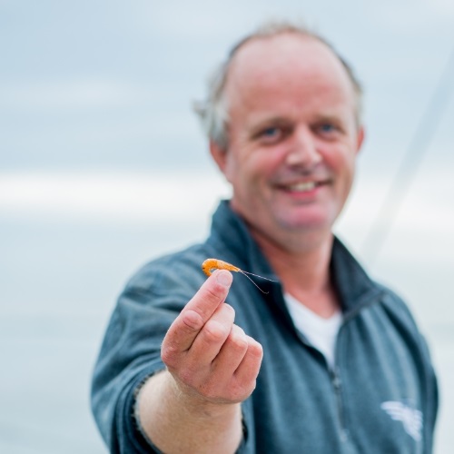 Les crevettes durables de la mer du Nord