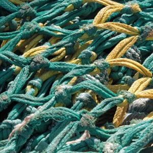 Fonctionnement du Référentiel Pêcheries MSC