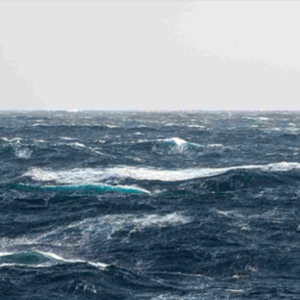 Les océans en danger