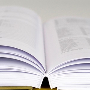 Documents complémentaires (en anglais)