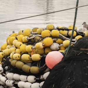 Revue de la Boîte à Outils Référentiel Pêcheries (en anglais)
