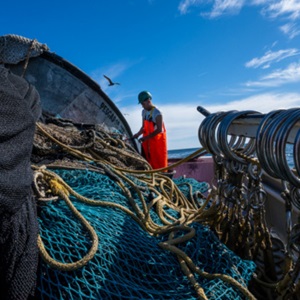 Exigences de certification des pêcheries