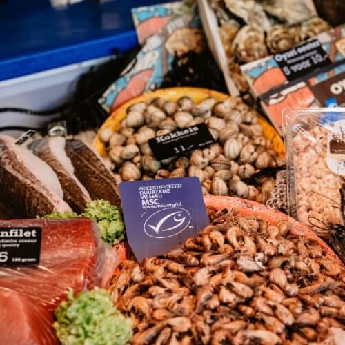 Waar is MSC-vis te koop?