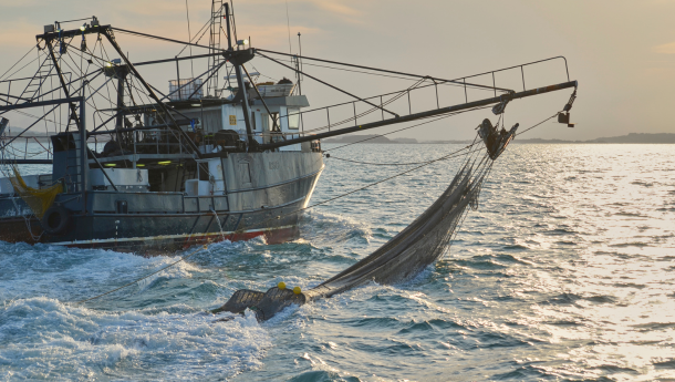 Wat is overbevissing?