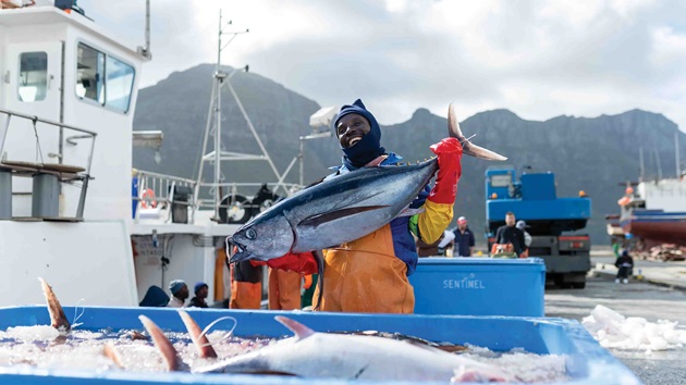 海洋管理委员会2024-25年报