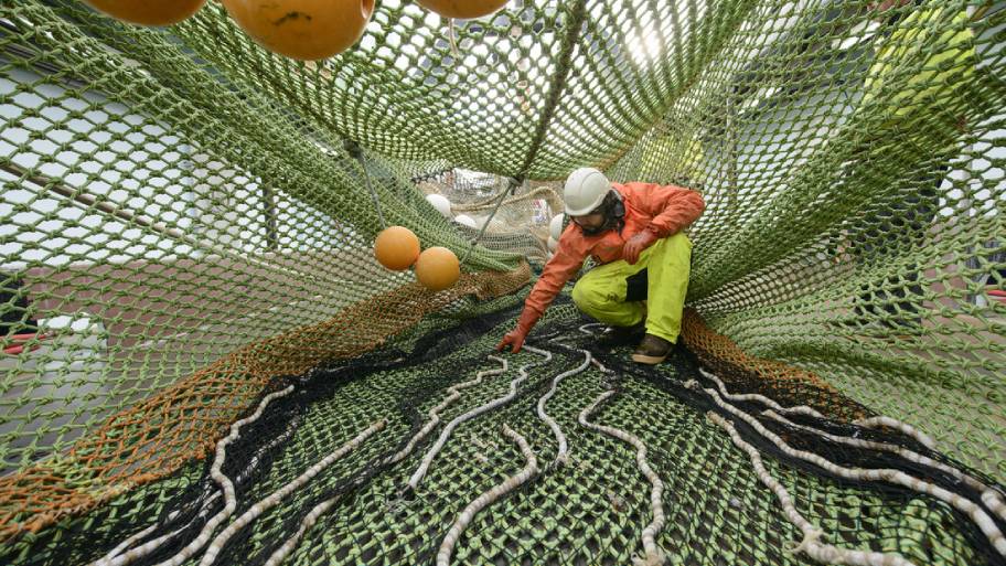 Nordsee und Atlantik: Europas Fischereiminister legen Fangquoten für 2019 fest