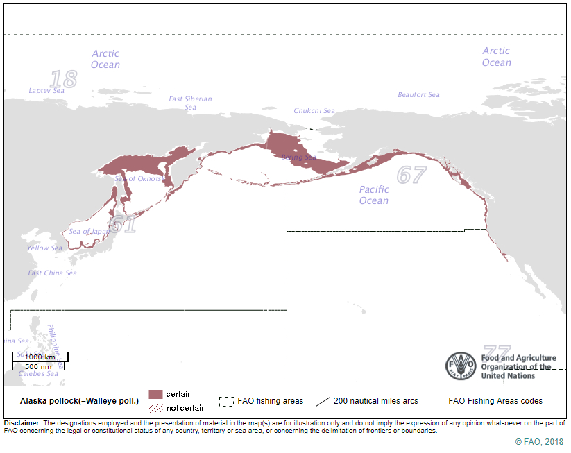 FAO Fanggebiete für Alaska-Seelachs