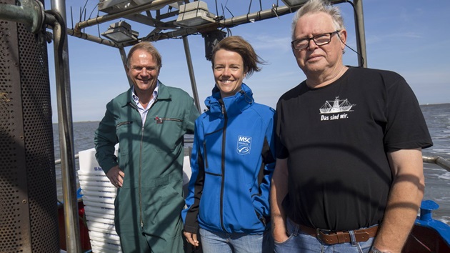 Fragen zum MSC als Organisation