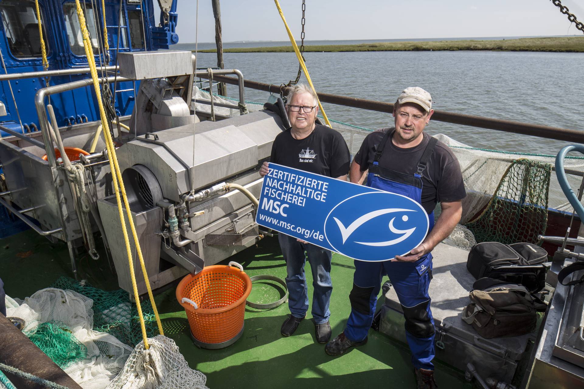 msc_brown_shrimps_ger_large-0430