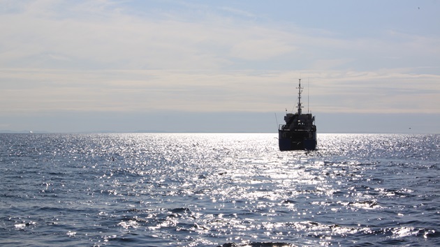 25 Jahre MSC - Der Fischereibericht Deutschland 2022