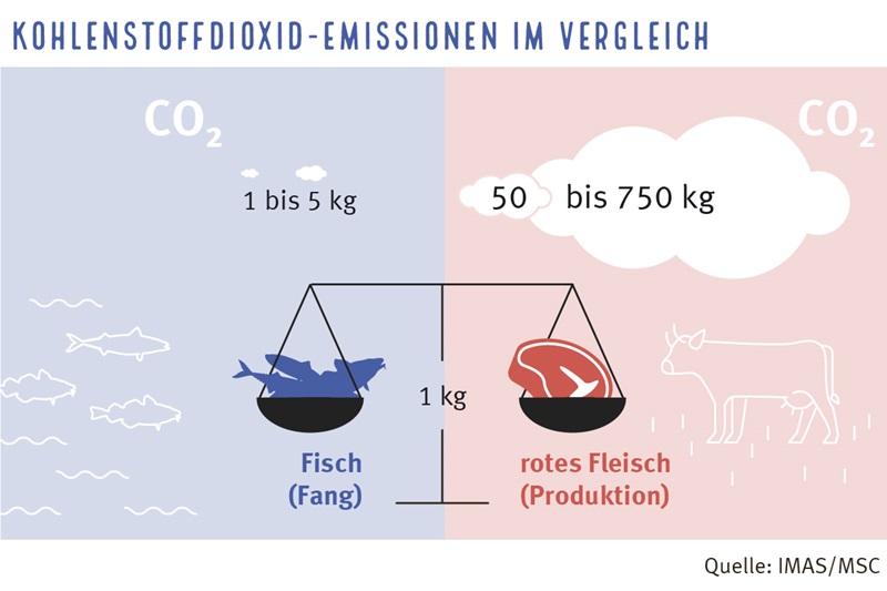CO2_Vergleich_Fisch_Fleisch CO2_Vergleich_Fisch_Fleisch