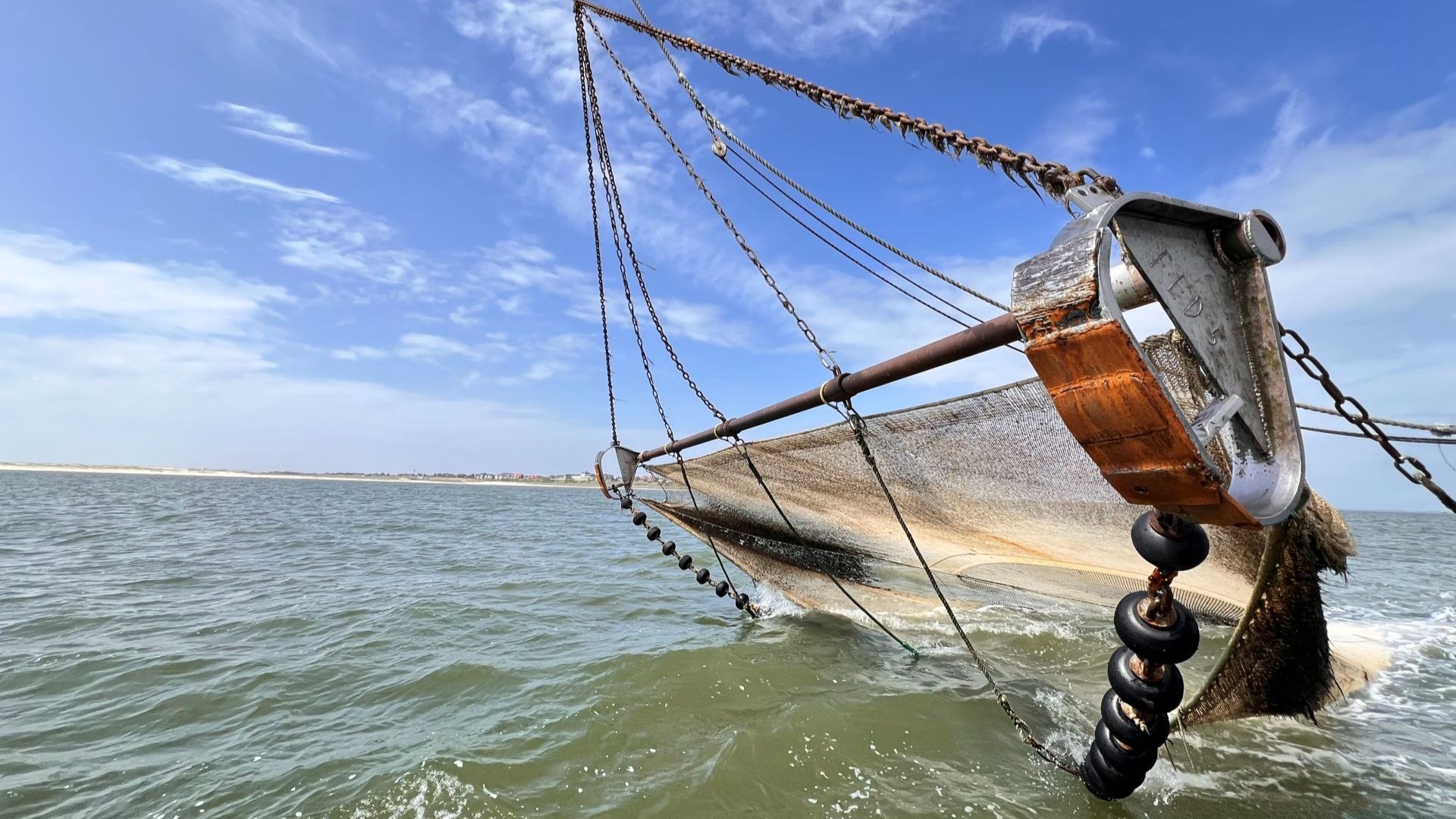 Cod-end net of German MSC certified brown shrimp fishery