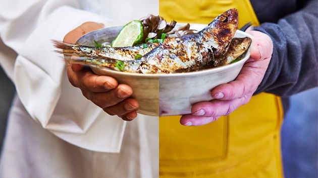 Vuosikertomus 2024-2025