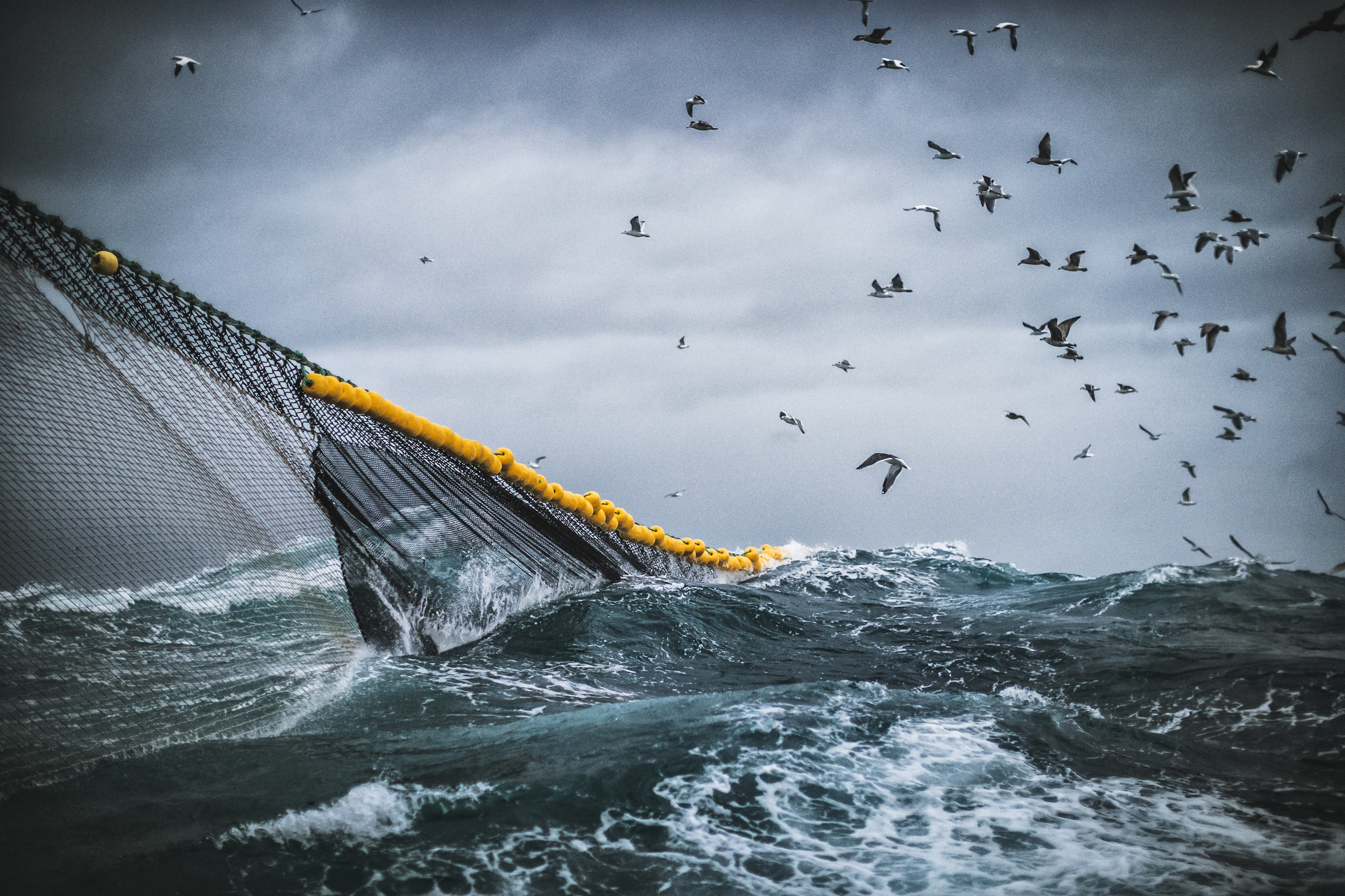 piola666/iStock (Fishboat vessel fishing in a rough sea)