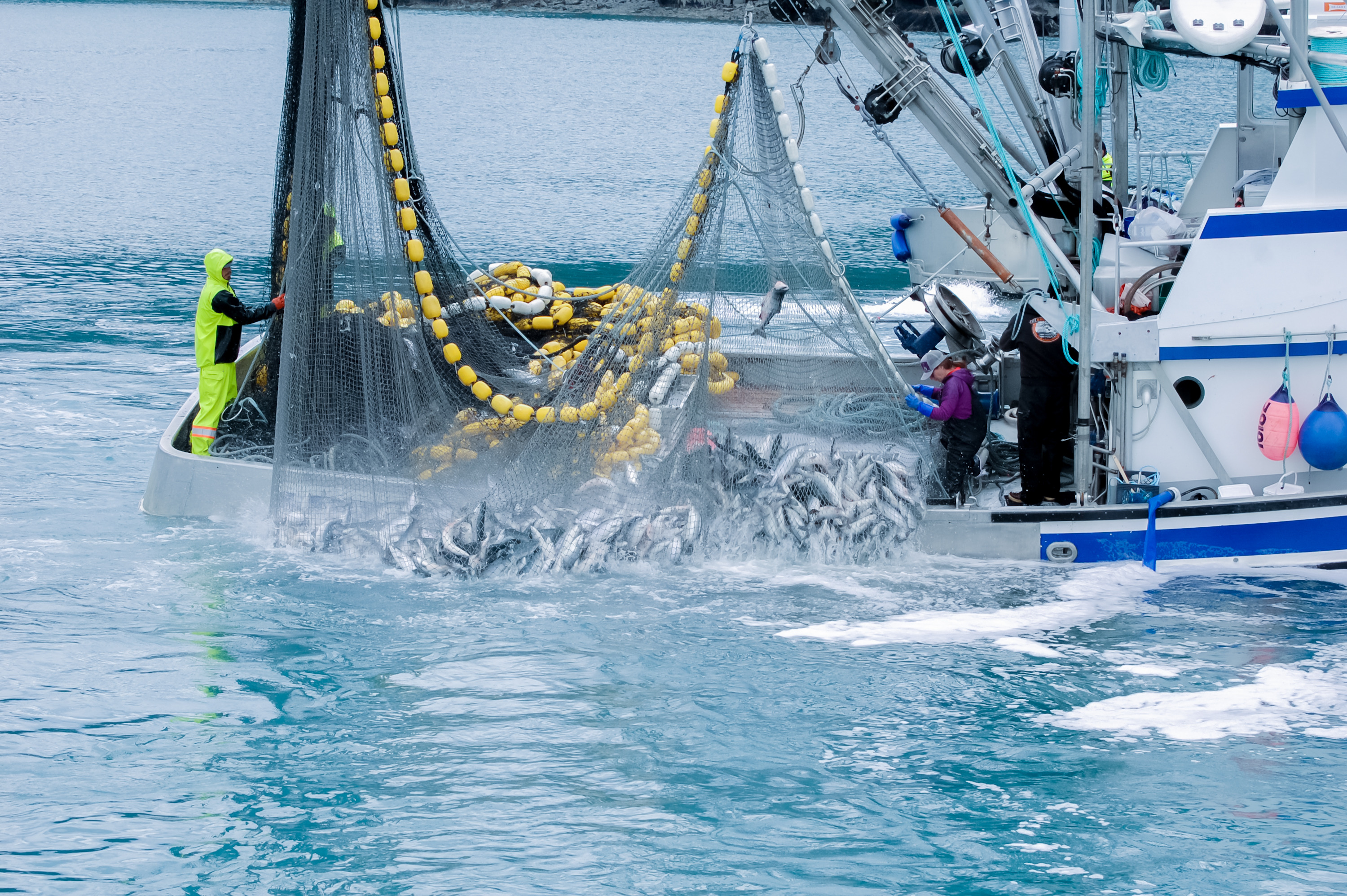 Fishing boat, net, fish