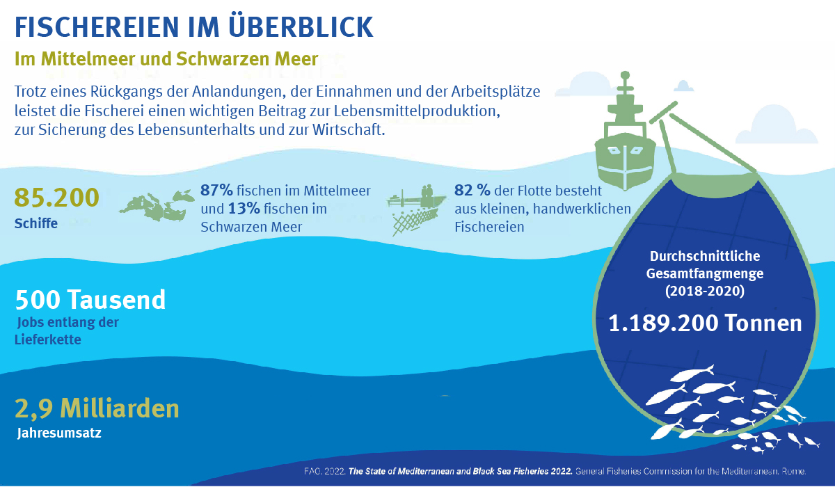 Überblick über Fischfang im Mittelmeer