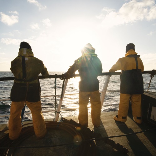 Cos'è la pesca sostenibile