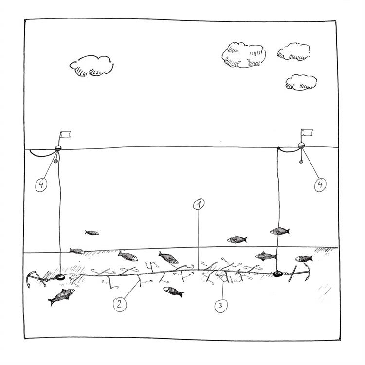 Bodenlangleine Fangmethode im MSC Fanggerätekatalog - Langleine