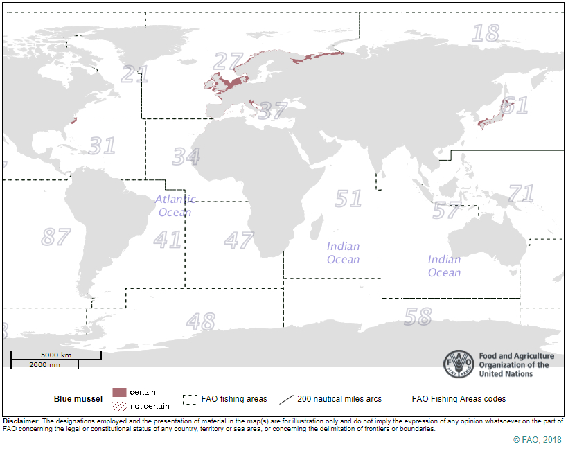 Miesmuscheln FAO Fanggebiete