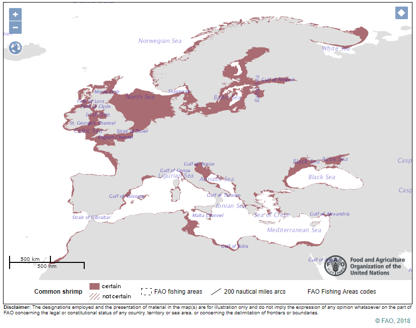 FAO Fanggebiet Nordseekrabbe