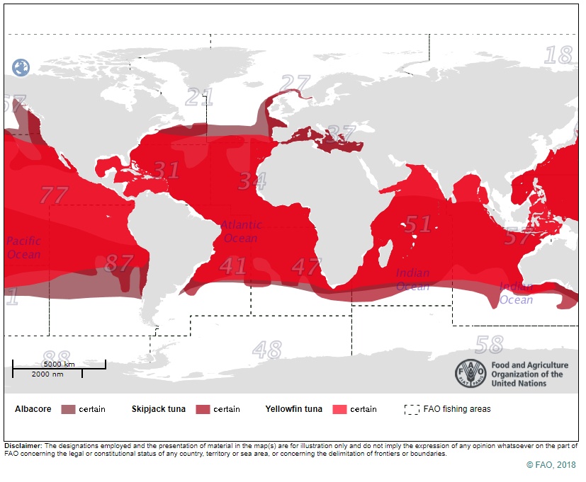 Thunfisch FAO Fanggebiete