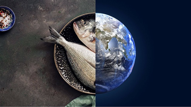 Fisch 2050: Mehr Menschen auf der Welt und trotzdem mehr Fisch im Meer?