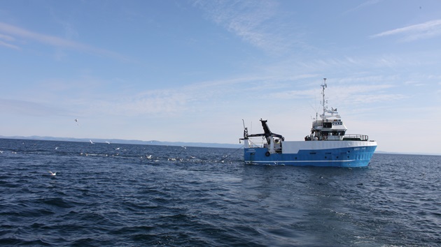 25 Jahre MSC - Fischereibericht 2022
