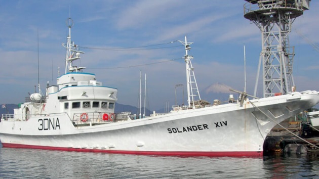 Fidschi: Eine Thunfisch-Fischerei im Kampf gegen Beifang