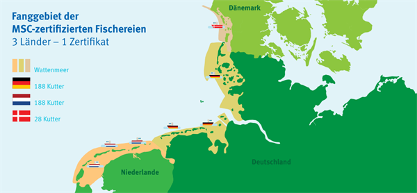 Nordseekrabbenfischerei Wattenmeer Landkarte
