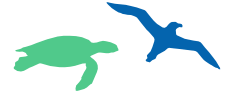 Icon Schildkröte grün und Seevogel blau