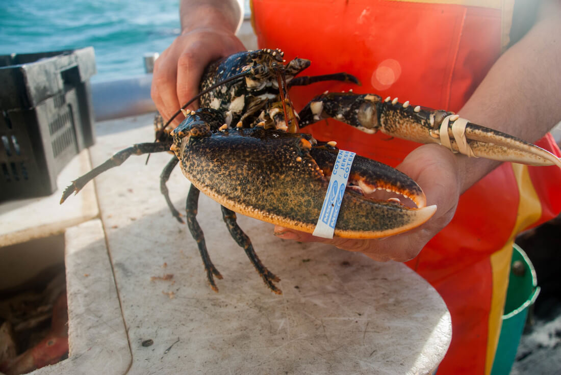 RS3263_28102014-DSC_6296-scr (1)