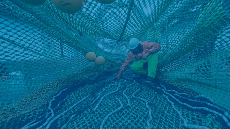 MSC aktualisiert seine Zertifizierungs- prozess Regularien