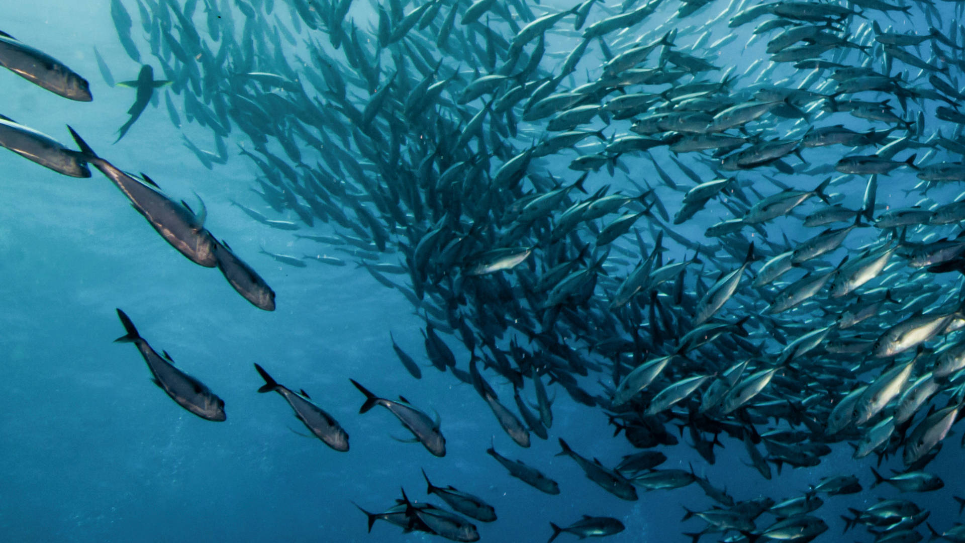 hero-verbesserungenf95436da451e4544bc82edf804e20086