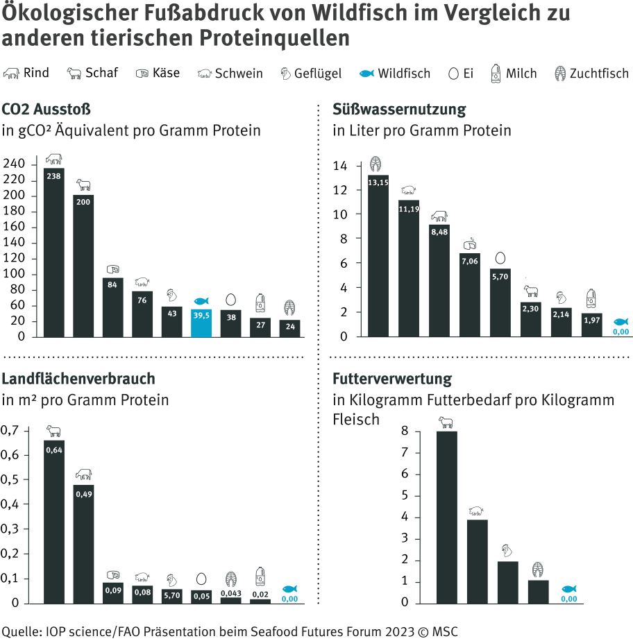 Ökologischer Fussabdruck Fisch Ökologischer Fussabdruck Fisch