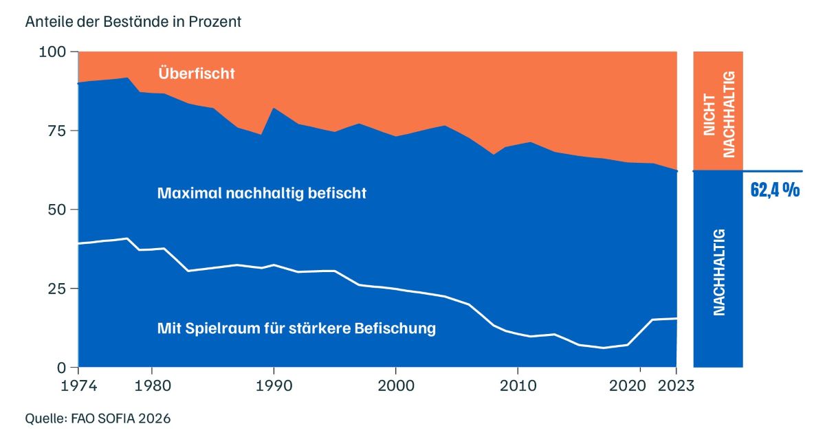 Infografik zur Entwicklung der Fischbestände weltweit Stand 2026