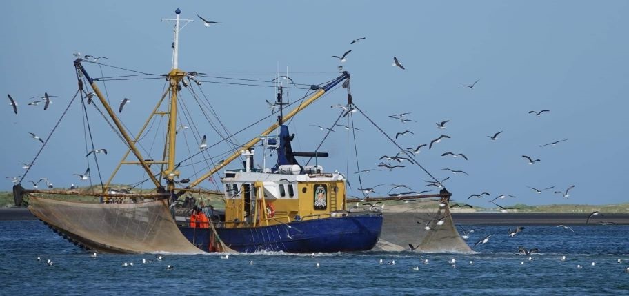 Shrimp_vessel_female_fisherwoman_Liesbeth_de_Haan