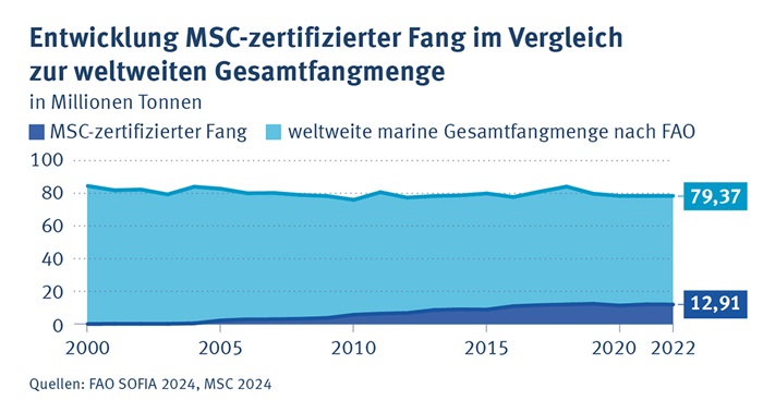 MSC_Entwicklung_Fangmenge_2024 MSC_Entwicklung_Fangmenge_2024