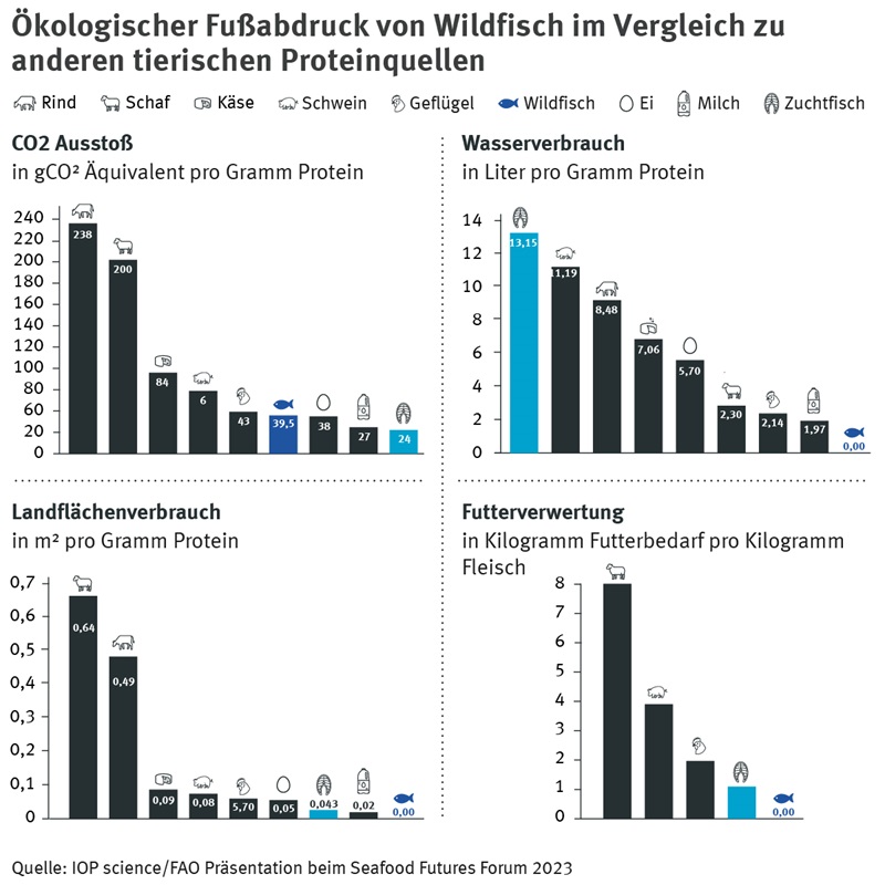 Ökologischer Fußabdruck von Wildfisch im Vergleich zu anderen tierischen Proteinquellen