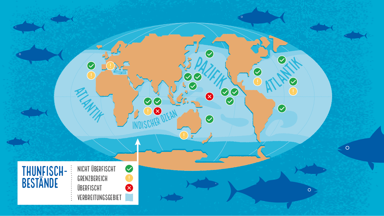 World wide tuna stock status, 2025