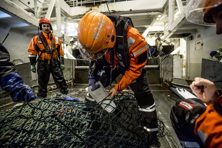 Fischereikontrolle auf Garnelentrawler in Norwegen