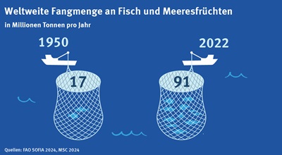 welweite_Fangmenge_1950_2022_ohne_MSC