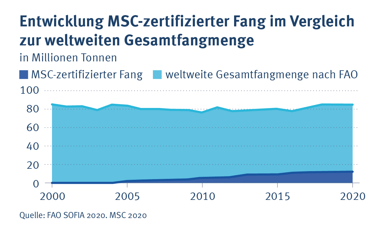 20Jahre_MSC_Entwicklung