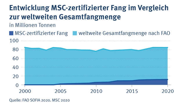 20Jahre_MSC_Entwicklung